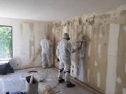 Best Basement Mold Removal  in North Olmsted, OH